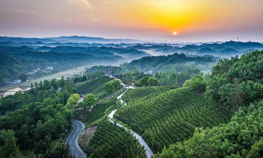 两座山一条路!“闵黑子”的二十年“共富”笔记(图3) 两座山一条路!“闵黑子”的二十年“共富”笔记(图3)